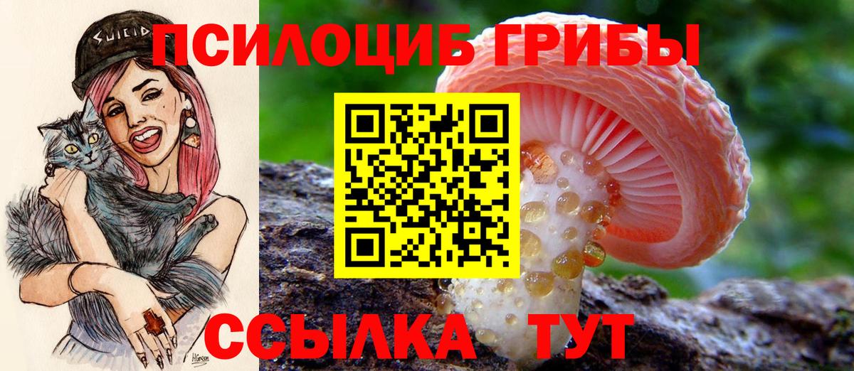 Галлюциногенные грибы ЛСД Мценск