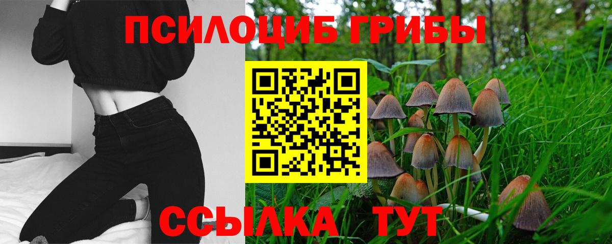 Галлюциногенные грибы мухоморы  наркошоп  Мценск  Псилоцибиновые грибы ЛСД  Вход с VPN 